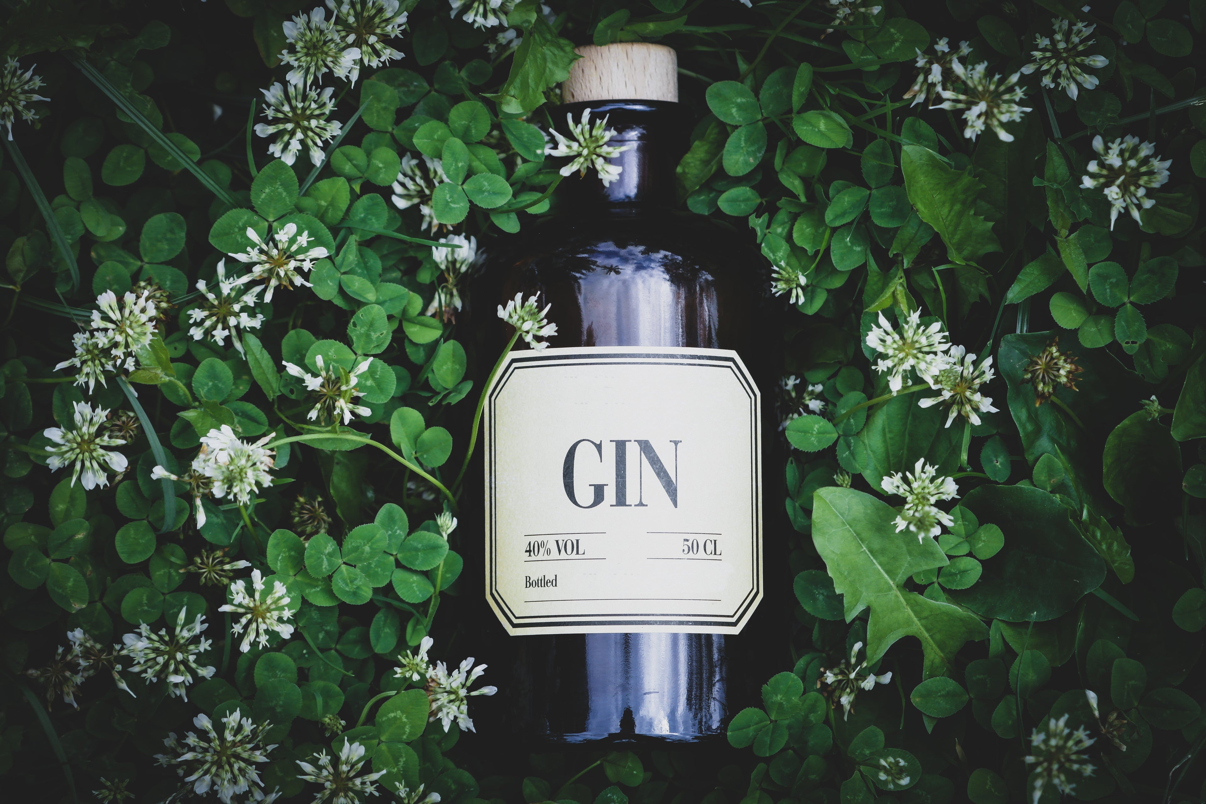 Der Zauber des Gins: Die Aromatische Reise durch Geschichte und Gegenwart