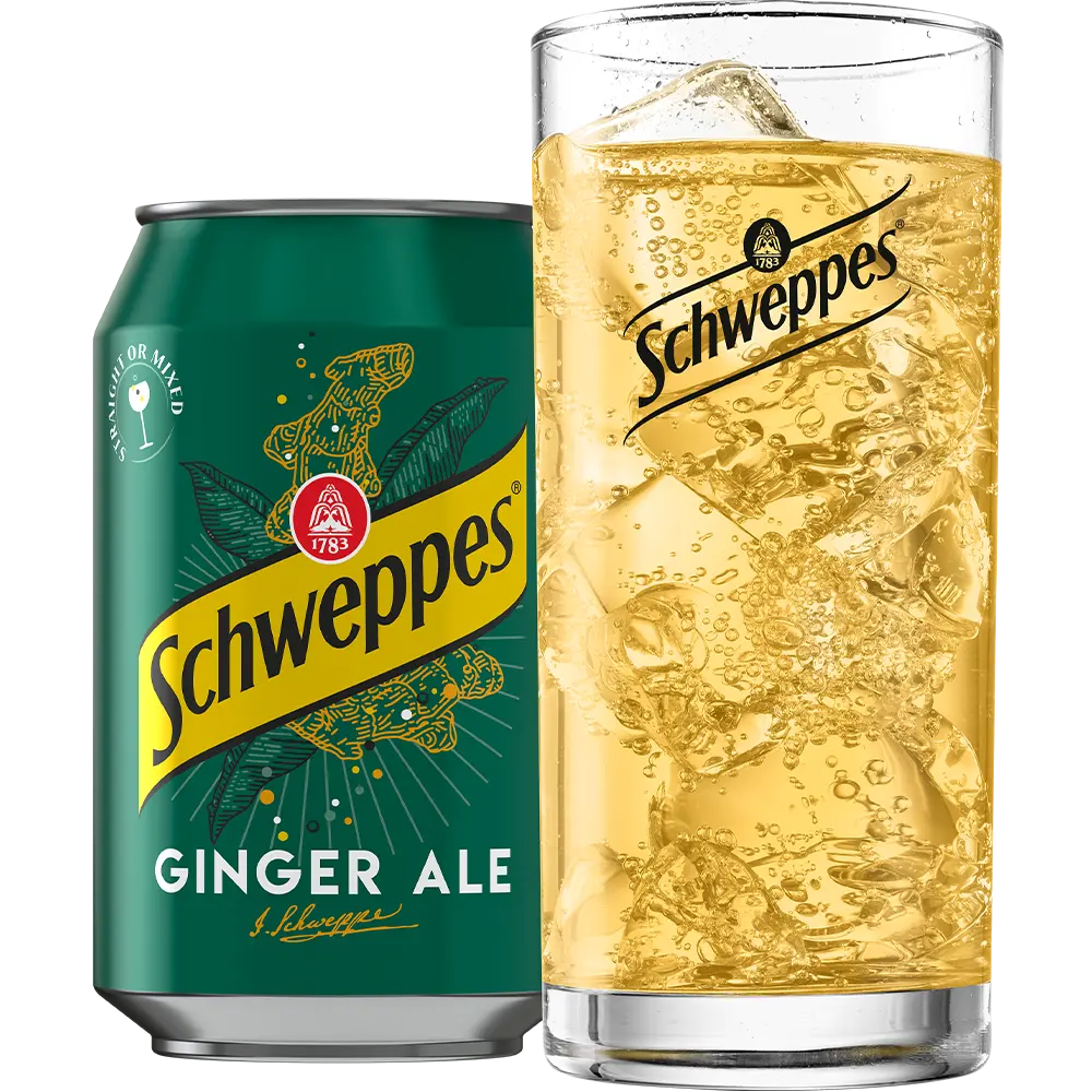 Schweppes Ginger Ale 12x0,33 L Dose zzgl. DPG Pfand