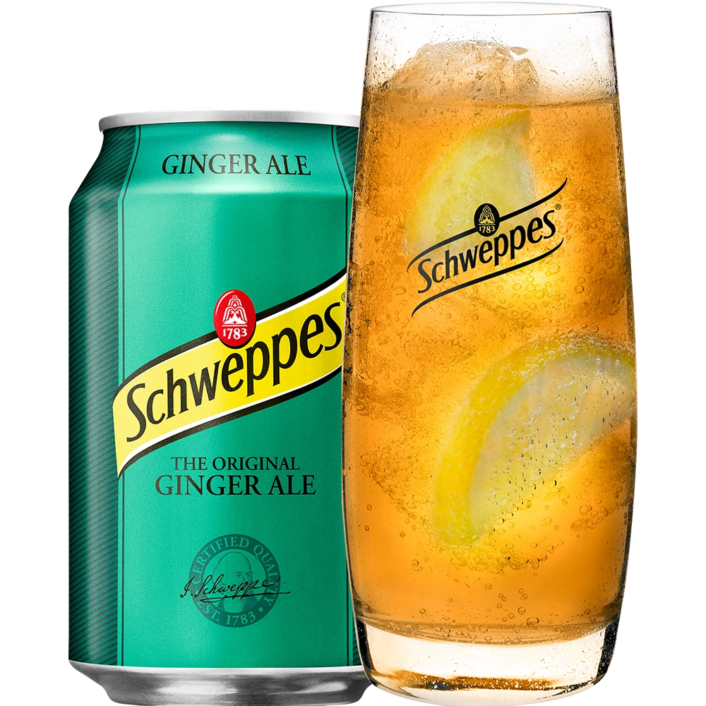 Schweppes Ginger Ale TRAY 12x 0,33L DS zzgl. DPG Pfand
