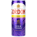 Gordon's Premix Gin & Tonic 10% 0,25L DS zzgl. DPG Pfand