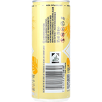 Bacardi Pina Colada 10% 0,25L DS zzgl. DPG Pfand