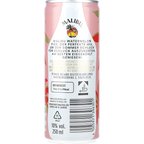 Malibu Watermelon 10% 0,25L DS zzgl. DPG Pfand